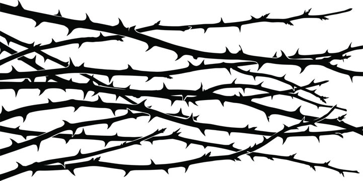 Thorny Branch Silhouette Collection with Sharp Nature Vines for Botanical and Decorative Graphic Design Projects