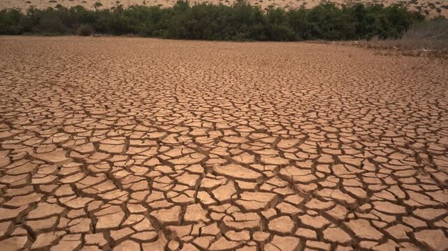 Cinematic tracking shot over deeply cracked, parched earth towards distant green vegetation. This dynamic B-roll highlights severe drought, water scarcity, and the climate crisis.