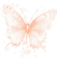 Orange butterfly with intricate wing patterns during soft studio lighting isolated on white background minimal style © rokeya