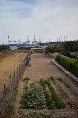 Fototapeta premium Scarecrow Overlooking Coastal Port in Malta