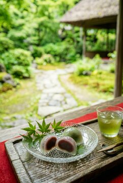 Japanese traditional summer sweet Mizu Manju with green maple leaves in a rustic garden.