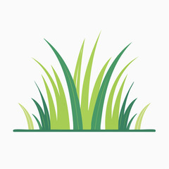 Fototapeta premium Green Grass Illustration