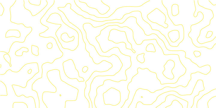 Abstract topographic lines.