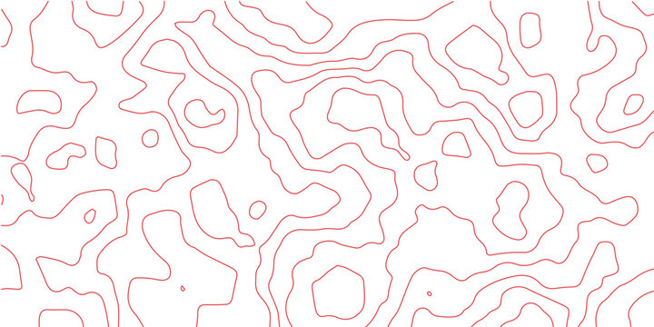 Abstract topographic map outlines a complex geographical terrain. A delicate interplay of lines evokes a sense of depth and spatial complexity.