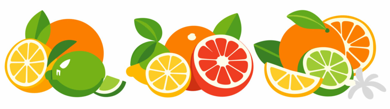 Fresh citrus fruit border with oranges lemons and limes in flat style isolated on white background. Vibrant summer food vector for juice ads, detox branding and menu decoration.