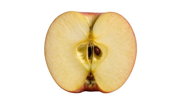 Red skinned apple cross section with core and seeds