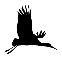 Naklejka premium Black Stork Silhouette Bird 