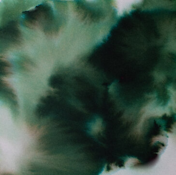 Green watercolor ink spreading and blending on textured paper creating an organic, abstract pattern with varying shades and soft transitions, depicting fluidity and natural elements