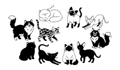 Playful cat silhouettes collection, different kitten poses, pet animal silhouette vector art. © Boloram