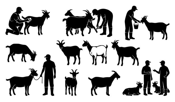 Set of domestic goat silhouettes and livestock farming
