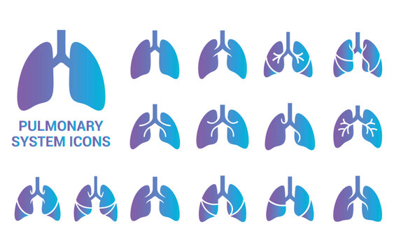 Pulmonary system icons lungs human organ medical healthcare respiratory health science lungs lungs lung.