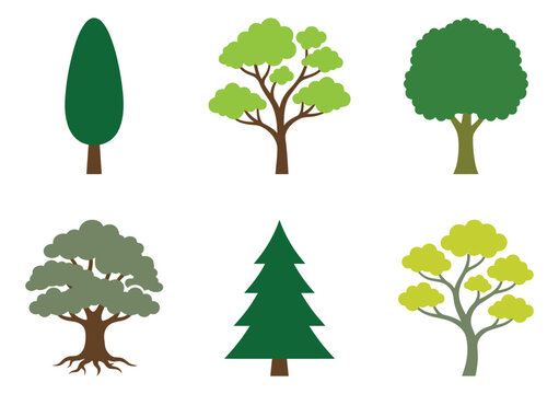 Flat icon set of 6 trees featuring evergreen, oak, pine and deciduous varieties for nature and ecology design