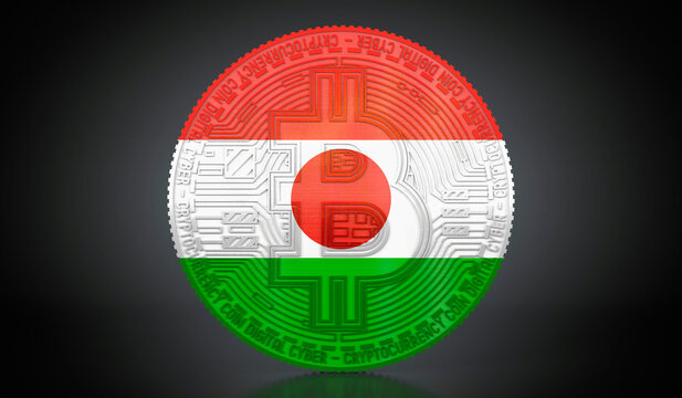 Niger - cryptocurrency bitcoin with national flag - 3D illustration