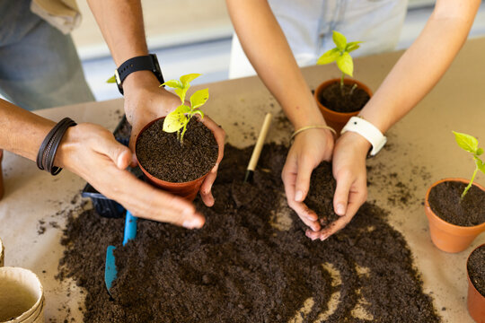 Two friends planting seedlings in terracotta pots at home potting station, scooping soil