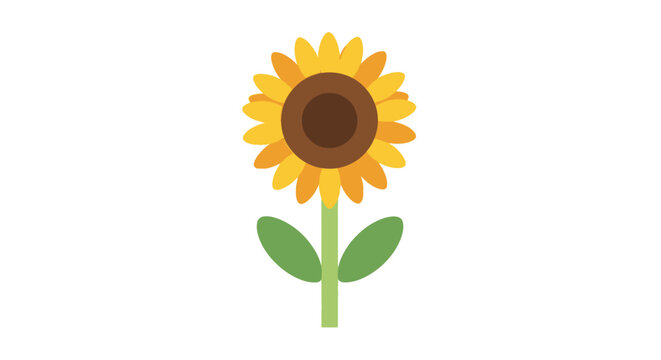 Bright Yellow Sunflower with Green Stem.