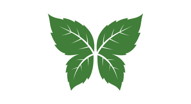 Green leaf with white veins.