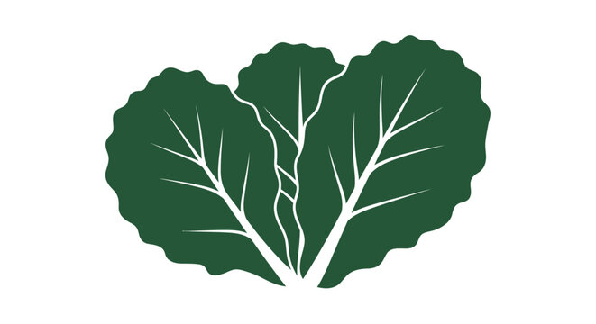 Green leafy vegetable illustration.