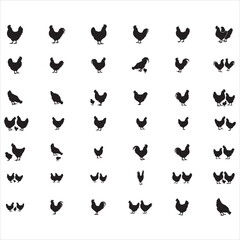 Fototapeta premium chicken silhouettes,Chicken SVG Bundle