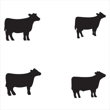 Show steer Svg Bundle