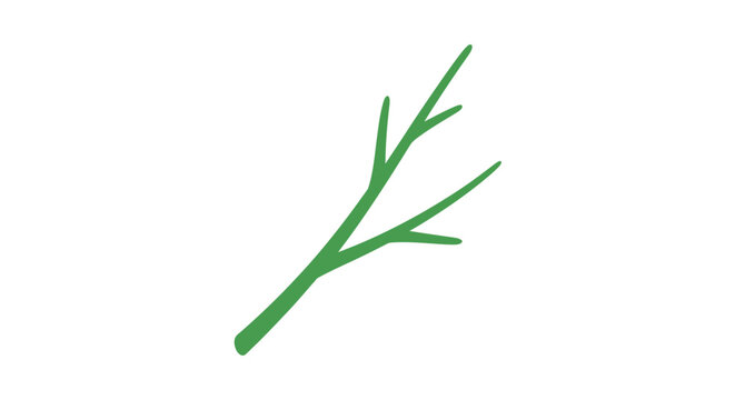 Green Rosemary Herb Stem Leaves.