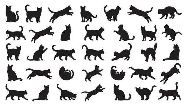 Collection of black silhouette cats in various playful and relaxed poses