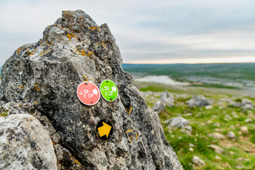 Obraz premium Limestone pavement landscape in Burren National Park, County Clare, Ireland. Wild karst scenery on the Wild Atlantic Way with views across the Irish countryside.