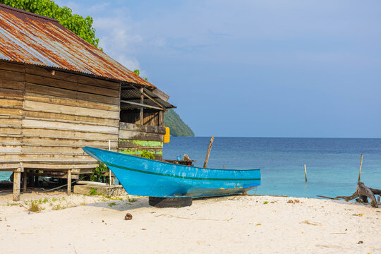 The beach scene with boat under palm tree
