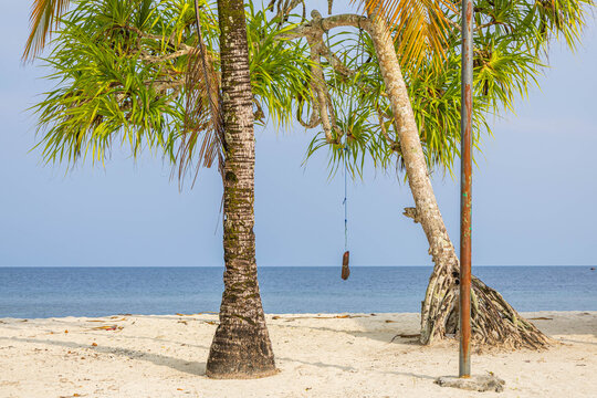 The beach scene with boat under palm tree