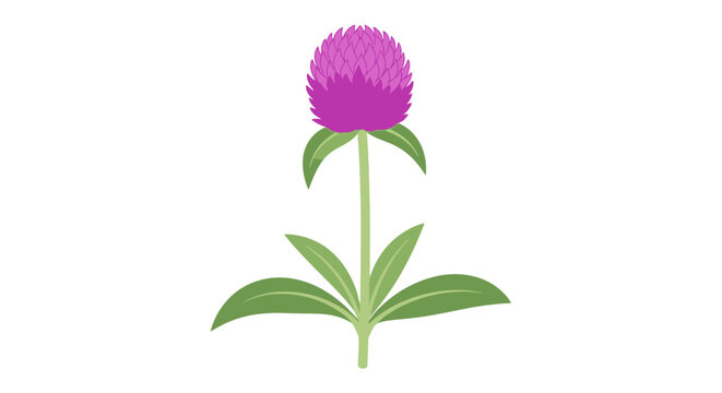 Pink Flower with Green Leaves Illustration.