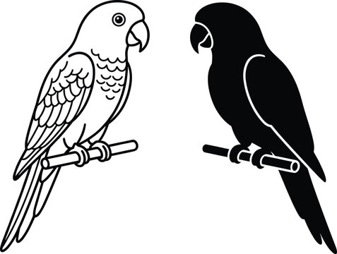 Parrot line art coloring page and black silhouette vector set isolated on a white background.