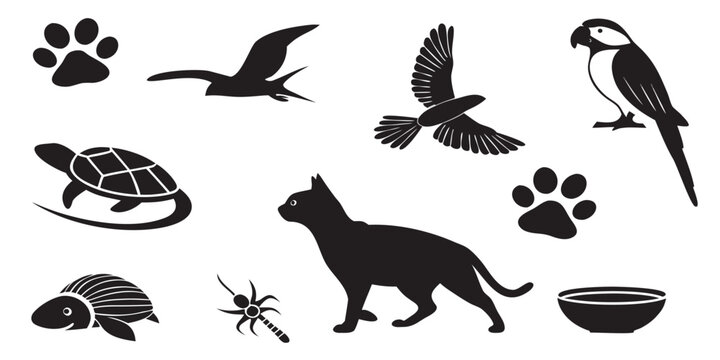 Silhouette animals flying running crawling set