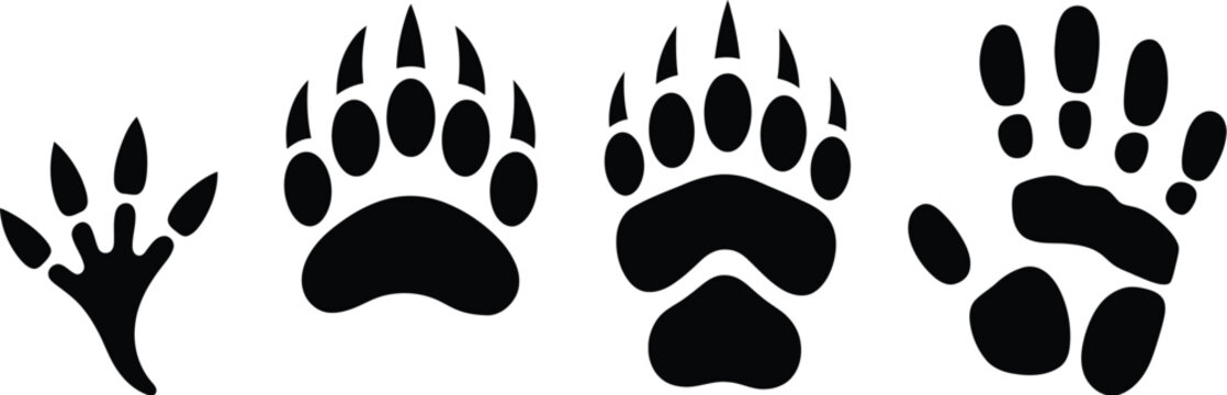 Collection of black animal paw prints and wildlife tracks including bear claws and mammal footprints isolated on a white background.