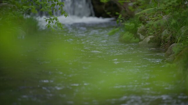 小さな滝から流れ落ちる水路の水