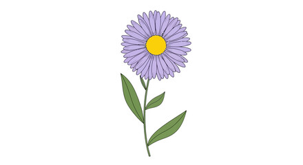 Purple Flower with Green Leaves Stem. © Mus
