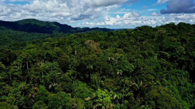 Aerial view of a tropical forest; blue and green nature backround of the amazon rainforest in South America