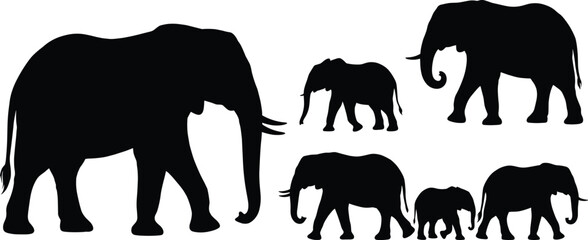 Collection of elephant silhouettes in different sizes isolated on gray background wildlife animal vector illustration © MSTALIFNUR