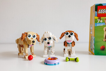Fototapeta premium LEGO Creator 3 in 1 Cute Dogs set 31137 toy figures on white background