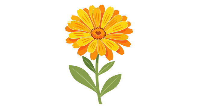 Vibrant Orange Flower with Green Leaves.