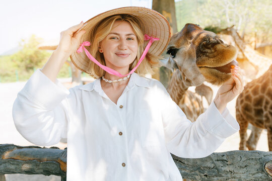 Travel trip in amusement park Nha trang, Vietnam. Young caucasian female feeding giraffe while wearing traditional hat at zoo