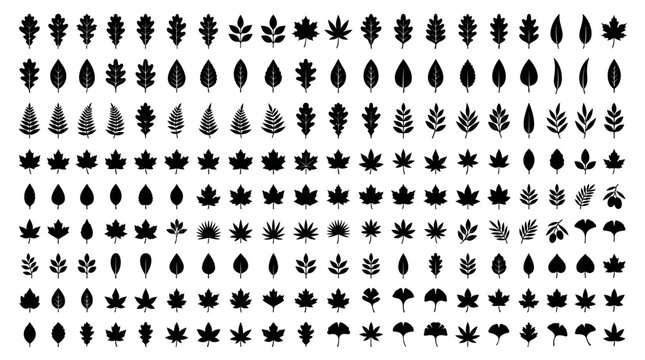 Minimalist Black Leaf Icon Sheet with Assorted Tree Foliage Silhouettes