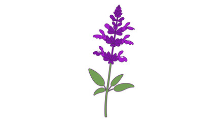 Obraz premium Purple Flower with Green Leaves Stem.