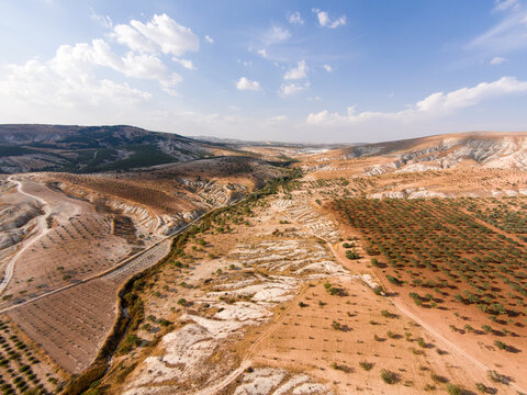 Pistachio orchards on heavily eroded semi-arid terrain with calcareous badlands formations. The landscape reflects soil degradation, dryland agriculture and desertification risk.