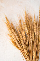 Fototapeta premium Wheat spikelets on a white stone background. 