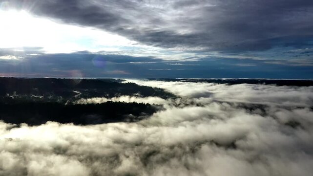 A dense layer of fog is covering a tropical forest in this aerial view; a nature background
