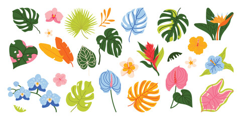 Set of tropical botanical elements with exotic flowers and jungle leaves. Trendy floral collection with monstera, orchid, hibiscus and tropical plants in modern flat cartoon style for stickers, prints © m_matvi
