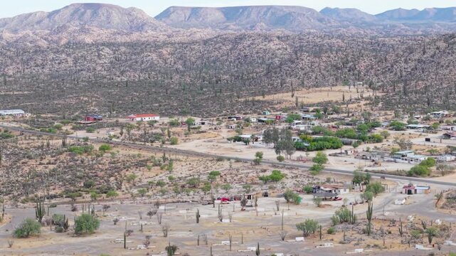 Witness the sunrise over Catavina Baja California revealing unique desert plants like cirios, cordon, blue palms, and elephant trees.