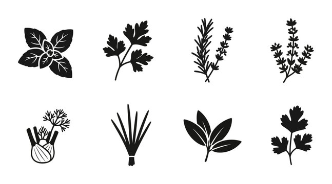 Herbs Vector Icons Set, Culinary Plants Collection, Fresh Ingredients Graphics, Black and White Botanical Elements for Cooking and Gastronomy