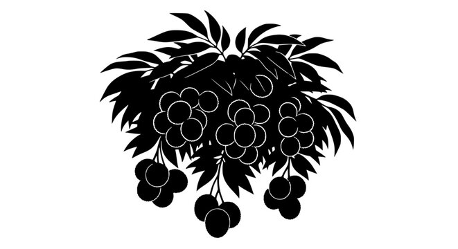 Lychee Fruit Bunch with Leaves Silhouette Vector Illustration