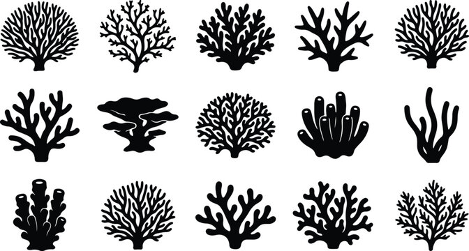 Collection of black silhouette illustrations of various coral species, representing marine life, underwater ecosystems, and ocean conservation.