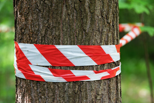 Absperrung mit Flatterband in einem Wald.